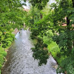 Blick auf die Alle in Allenstein