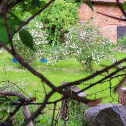 Blick auf ein Gartengrundstück in Neu Kockendorf