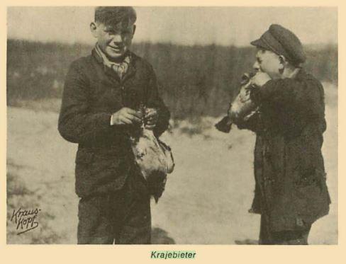 "Krajebieter" aus "Unser schoenes Samland", Ausgabe Ostern 1973